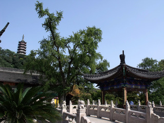 https://cdn6-banquan.ituchong.com/weili/l/189470042790036073.jpg