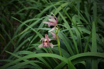 DSC_0093_