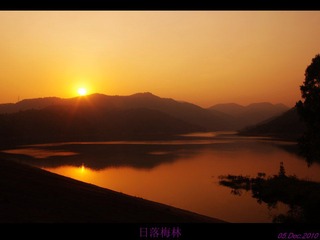 日落梅林_Dec05