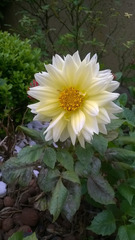 https://cdn6-banquan.ituchong.com/weili/l/198208480171261966.jpg