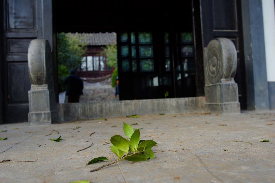 门前的落叶<br />
