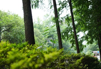 DSC00086aa