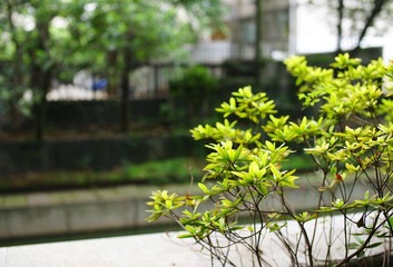 DSC00087aa