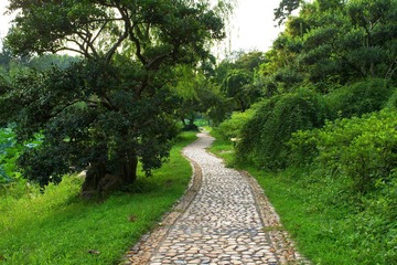 DSC00552mm.jpg