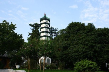DSC00553aa.JPG