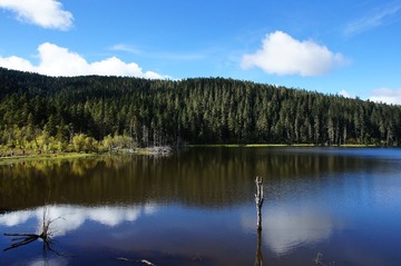 DSC07358.JPG