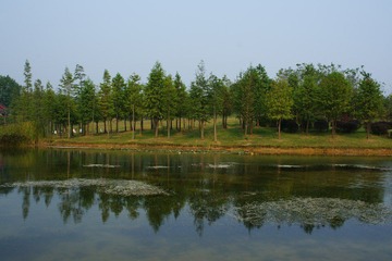 033aa.jpg