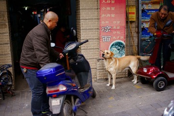DSC03561.JPG
