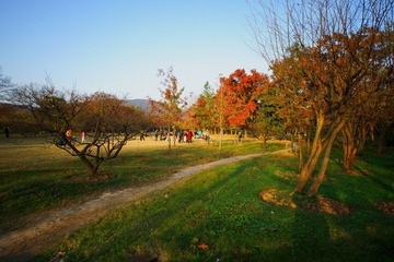 DSC03619aa.JPG