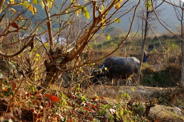 DSC04134.JPG