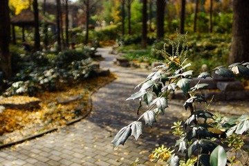 DSC00043.JPG