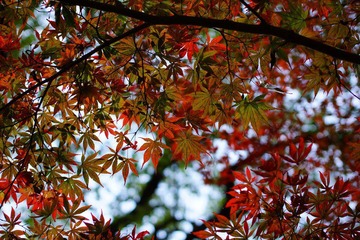 DSC00024aa.jpg