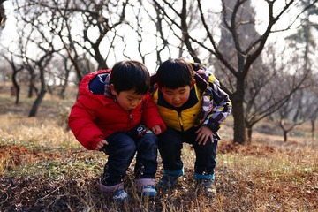 DSC04945aa.jpg