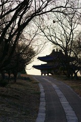 DSC05286aa.jpg