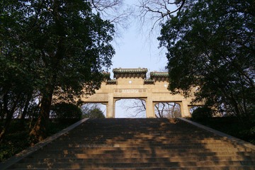DSC05317aa.jpg