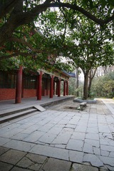 DSC05372aa.jpg