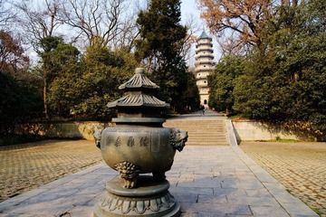 DSC05374aa.jpg