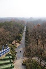 DSC05402aa.jpg