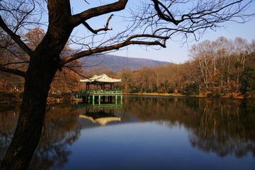 DSC05490aa.jpg