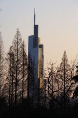 DSC06355aa.jpg
