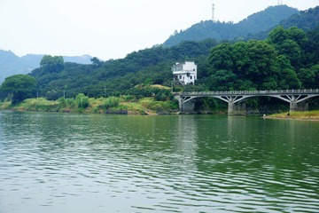 DSC08101.JPG
