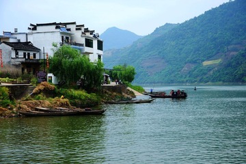 DSC08138.JPG