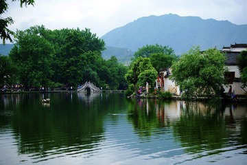 DSC08175.JPG