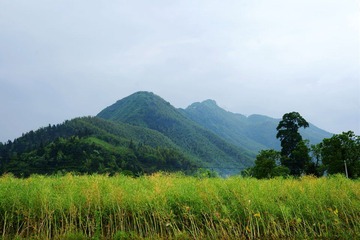 DSC08339.JPG