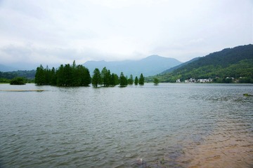 DSC08431.JPG