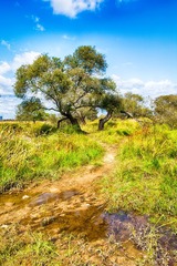 _DSC8426