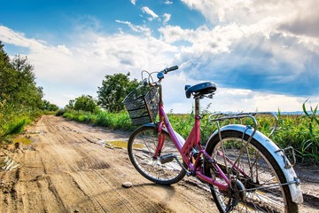 _DSC7951