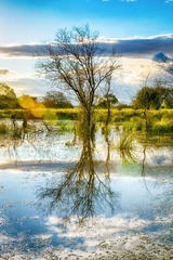 _DSC8131