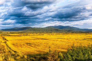 _DSC8213