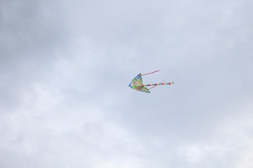 189528411395588784