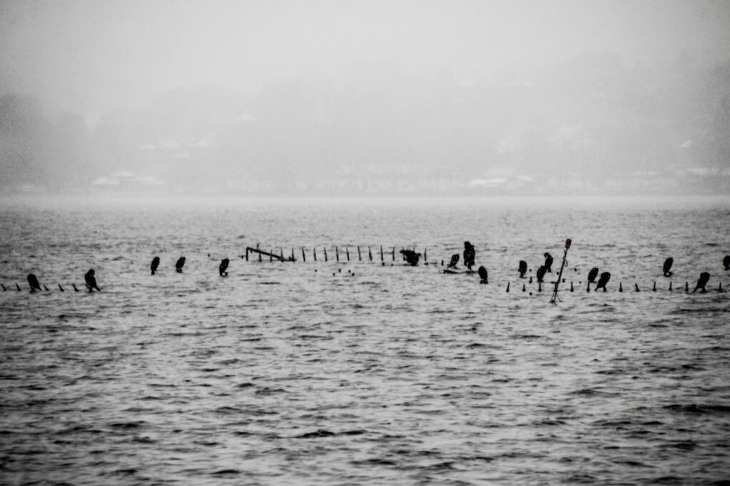taken in hangzhou