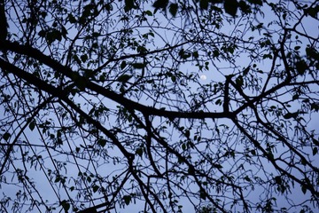 _DSC9380
