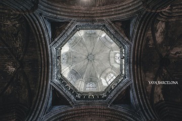 DSC03875 888