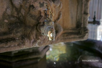 DSC03914 888