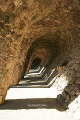 DSC04734 888