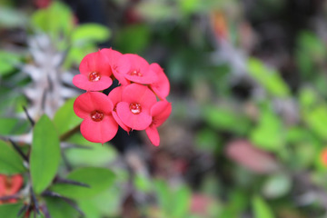 https://cdn6-banquan.ituchong.com/weili/l/200031985846190092.jpg