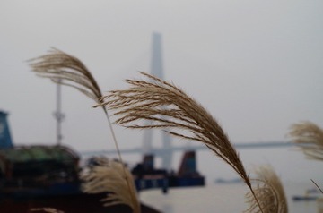 江边6