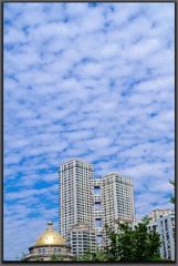 IMGP2897 - 