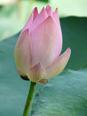 https://cdn6-banquan.ituchong.com/weili/l/189537731474621053.jpg