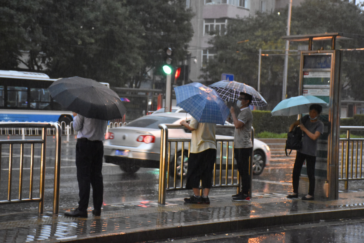 树006 br /> "如果有来生,要做一棵树,站成永恒,没有悲欢的姿势.