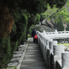 父与子002