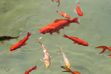 https://cdn6-banquan.ituchong.com/weili/l/197827860169490452.jpg