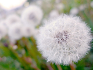 200883798120071171