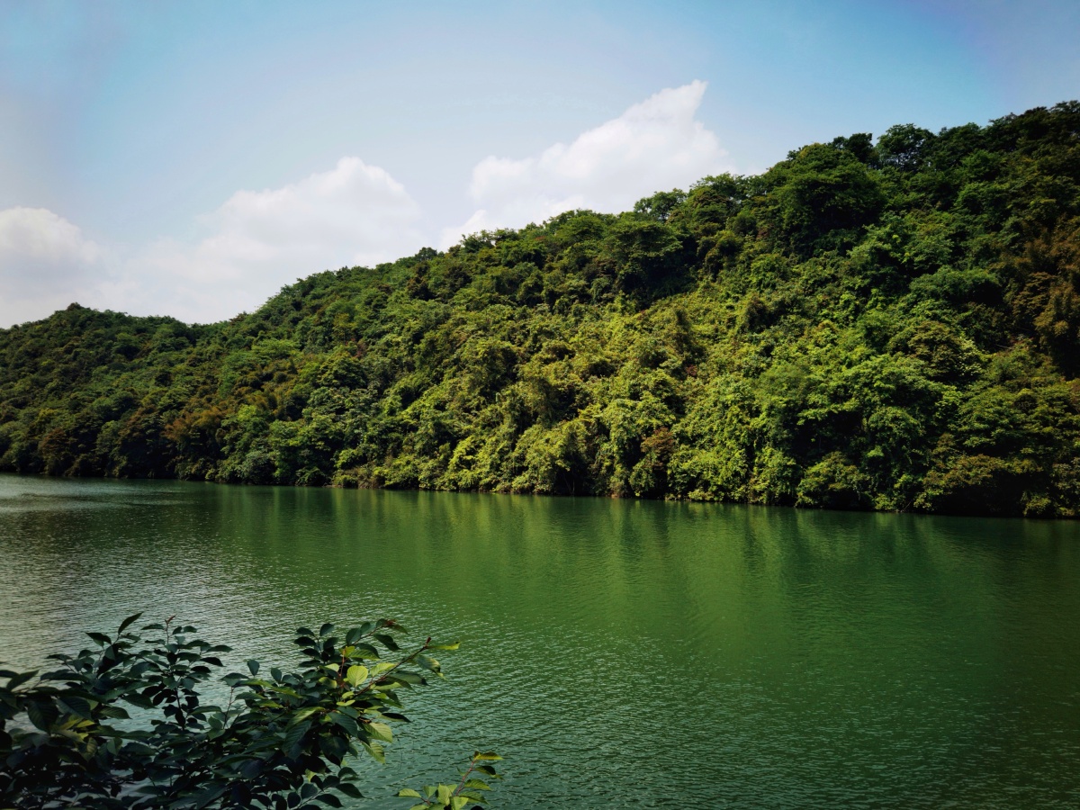 莲花湖成都
