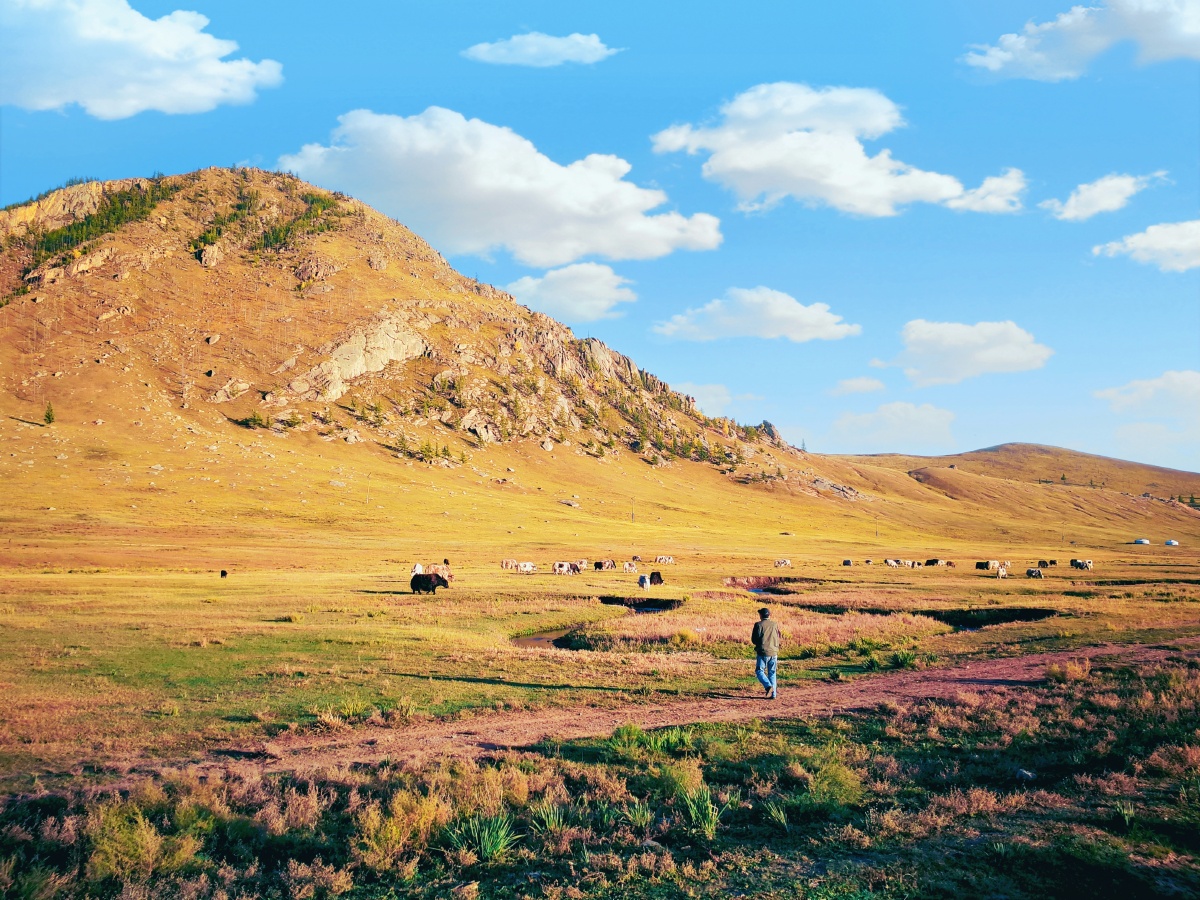 草原之秋蒙古乌兰巴托