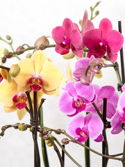 https://cdn6-banquan.ituchong.com/weili/l/189507374645772719.jpg